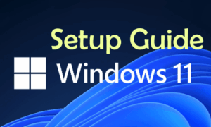Windows 11 Setup Guide